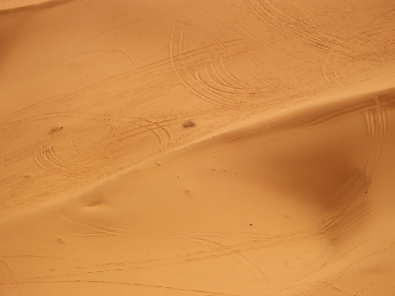 Erg Chebbi: las dunas más altas del Sáhara marroquí
