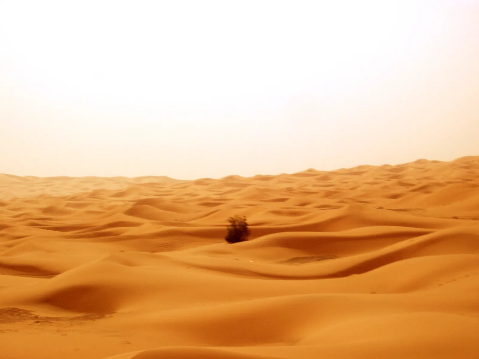 Erg Chebbi: las dunas más altas del Sáhara marroquí