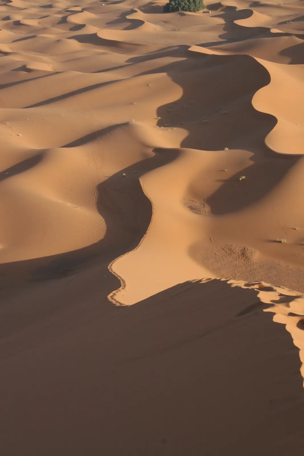 Erg Chebbi: las dunas más altas del Sáhara marroquí