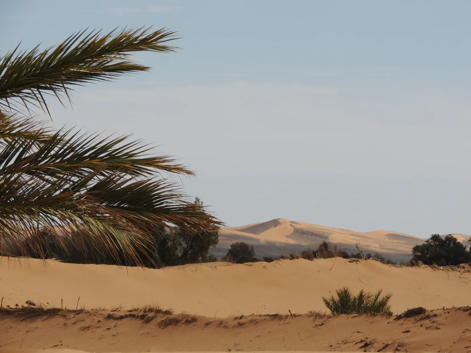 Guía práctica para viajar a Marruecos y al desierto de Erg Chebbi